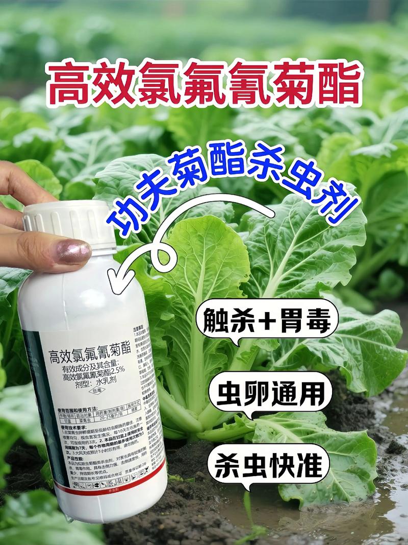 邢台代生中心:农药对供卵代生妈妈的危害